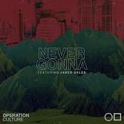 Never Gonna Feat J Sales Operation Culture