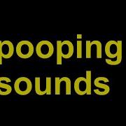 Shitting Sound Effect