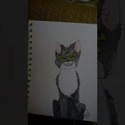 Мелодия Мелодия Из Игры Кот Фред