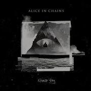 Fly Alice In Chains