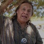 Creator Of Life Native Intelligence