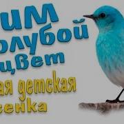 Песенка Про Голубой Цвет