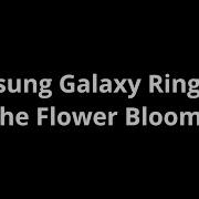 Samsung Galaxy Ringtone The Flower Blooms