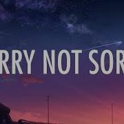 Demi Lovato Sorry Not Sorry Lyrics Pixl Networks