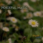 Peaceful Music Orchestra Into The Blue Relaxing Piano Music