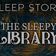 Sleep Sleep Library