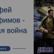 Аудиокнига Дикая Война