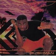 Bushman No 1 Else