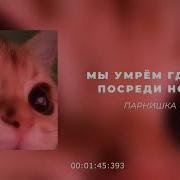 И Жалко Что Мы Умрём Где То Посреди Ночи Но Я Люблю Тебя Очень Я Люблю Тебя Очень Жалко Что Мы Умрём Песня