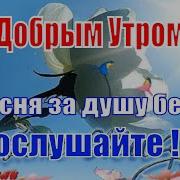 Красивые Пожелания С Добрым Утром Доброе Утро Красивое Доброе Утро