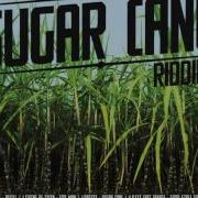 Patexx Sugar Cane