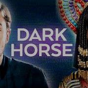 Peter Hollens Dark Horse Feat Sam Tsui