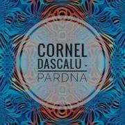 Cornel Dascalu Pardna