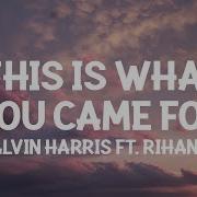 Calvin Harris Rihanna This Is What You Came For Lyrics