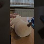 Пизда Порна Без Sms Безплатно
