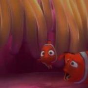 Nemo Nemo