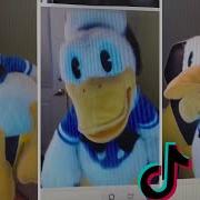 Donald Duck Omegle