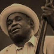 Willie Dixon You Shook Me