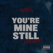 Wael You Re Mine Still Remix