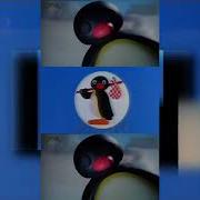 Pingu Intro Scan