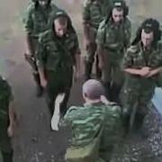 Медведь Сука В Цирке Блять На