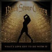 Black Stone Cherry What S Love Got To Do With It