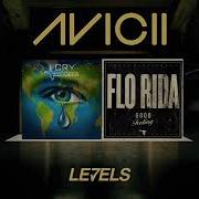 Avicii X Flo Rida Levels X I Cry X Good Feeling Gutz2Nvrgiveup Mashup Gutz2Nvrgiveup