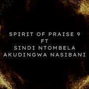 Spirit Of Praise 9 Ft Sindi Ntombela Akudingwa Nasibani Lyrics House