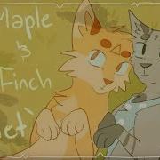 Maple Finch Quiet Ost