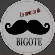 No Toques Ese Disco Bigote