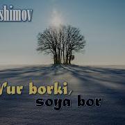 Нур Борки Соя Бор
