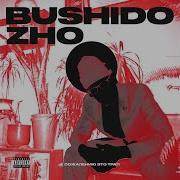 Интро Худ Bushido Zho