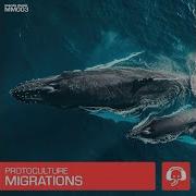 Migrations Extended Mix Protoculture