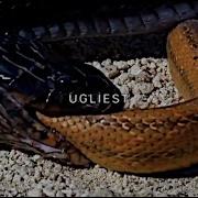 Uicideboys Ugliest