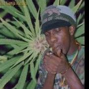 Ganja Songs