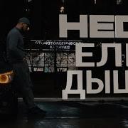 Hedo Альбом