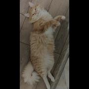 Еще Ж Есть Люди Которые Спортом Занимаются