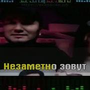 Розовы Вечер Белые Розы Прячется