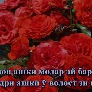 Марезон Ашки Модар