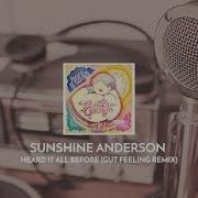 Sunshine Anderson Heard It All Before Gut Feeling Remix