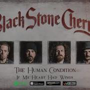 If My Heart Had Wings Black Stone Cherry