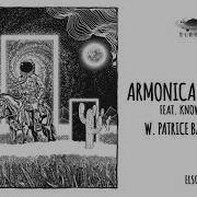 Armonica Slave Patrice Baumel Remix