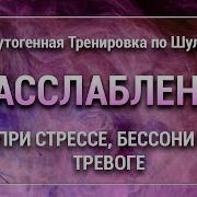 Аутотренинг По Шульцу