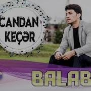 Balabey Candan Kecer