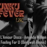 L Amour Disco Amanda Wilson Bergwall Feeling For U Bergwall Remix