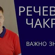 Чакры Гаряев