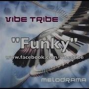 Vibe Tribe Funky