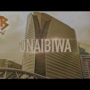 Rayvanny Unaibiwa Official Video Music Rayvanny