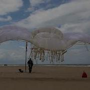 Strandbeest