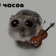 Грустный Хомяк 10 Часов